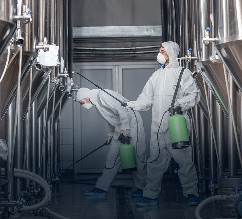 Terrafend Raw Material Cleaning